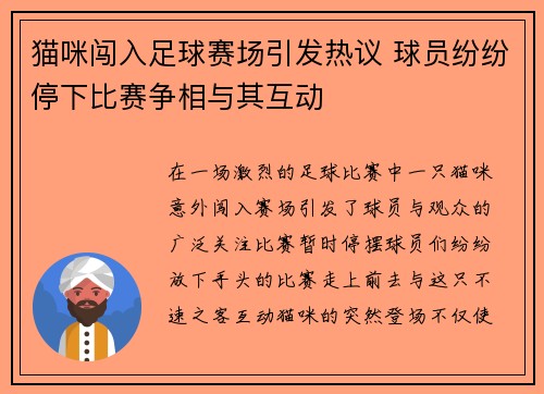 猫咪闯入足球赛场引发热议 球员纷纷停下比赛争相与其互动