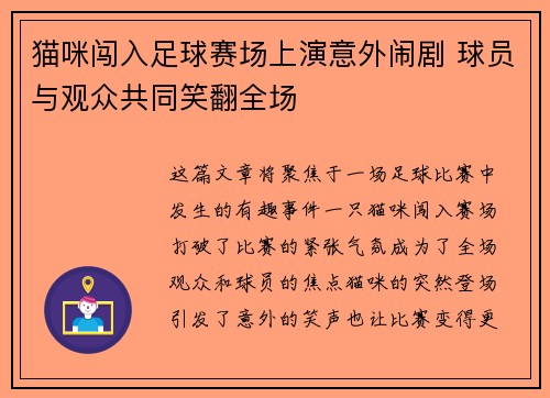 猫咪闯入足球赛场上演意外闹剧 球员与观众共同笑翻全场