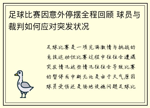 足球比赛因意外停摆全程回顾 球员与裁判如何应对突发状况