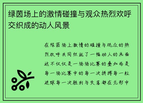 绿茵场上的激情碰撞与观众热烈欢呼交织成的动人风景